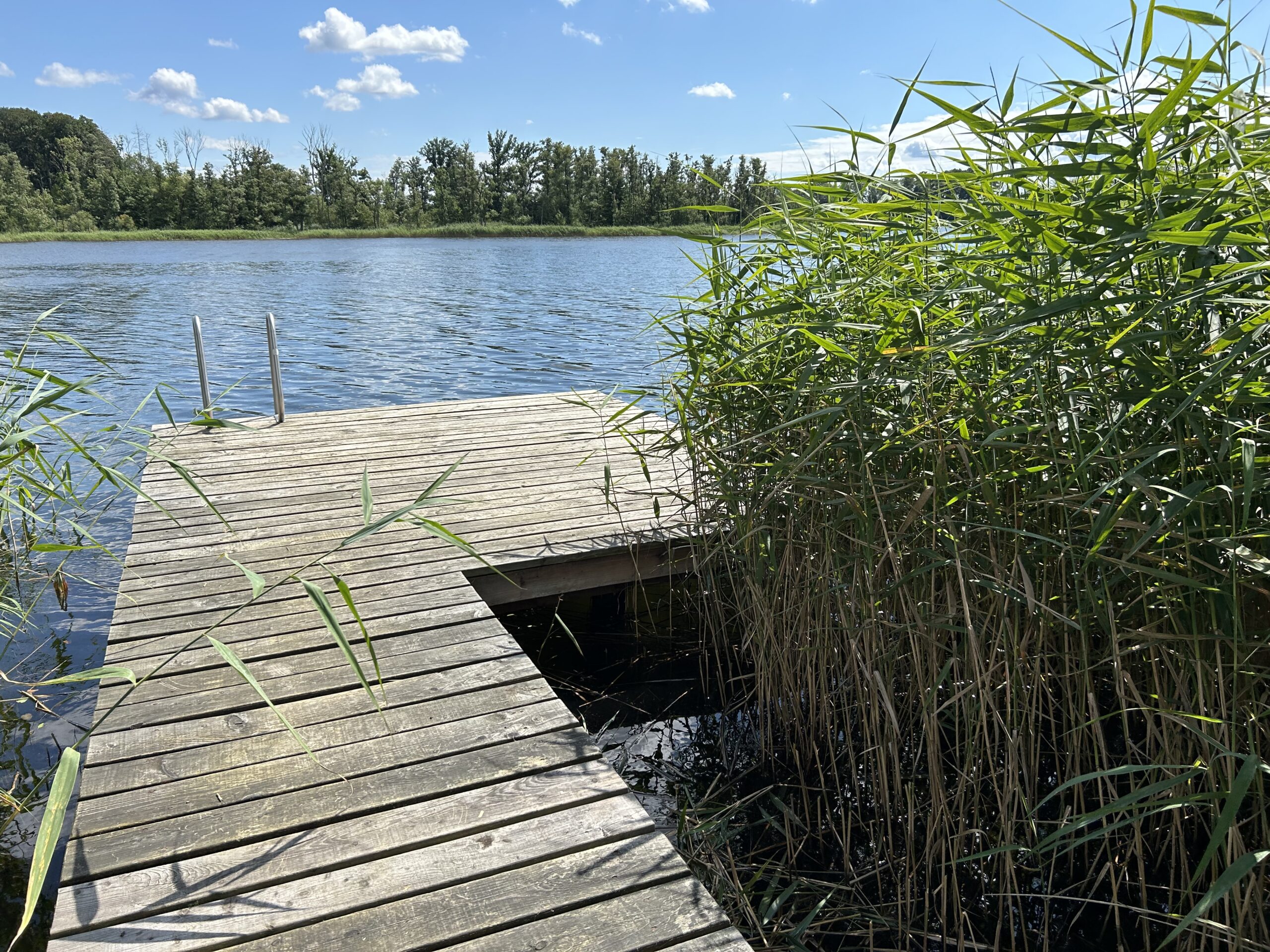 eigener Steg am See