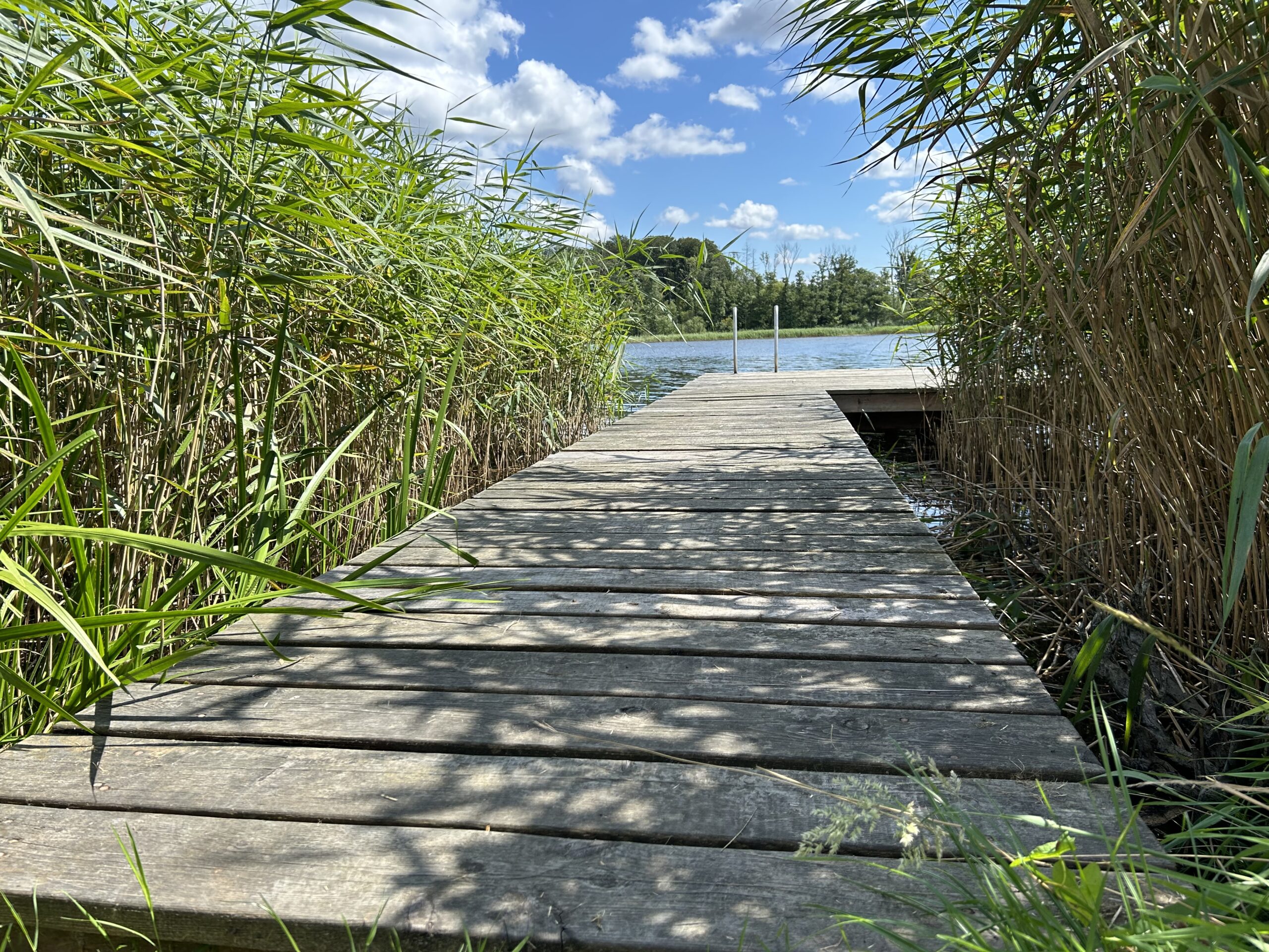 Steg am See Sommer