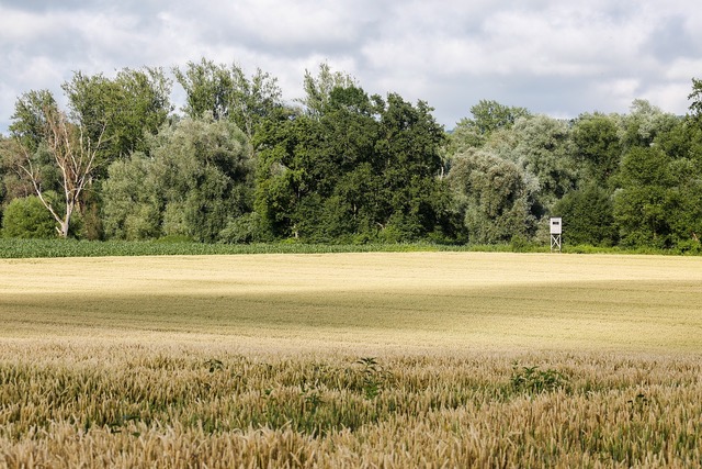 Jagdschein machen
