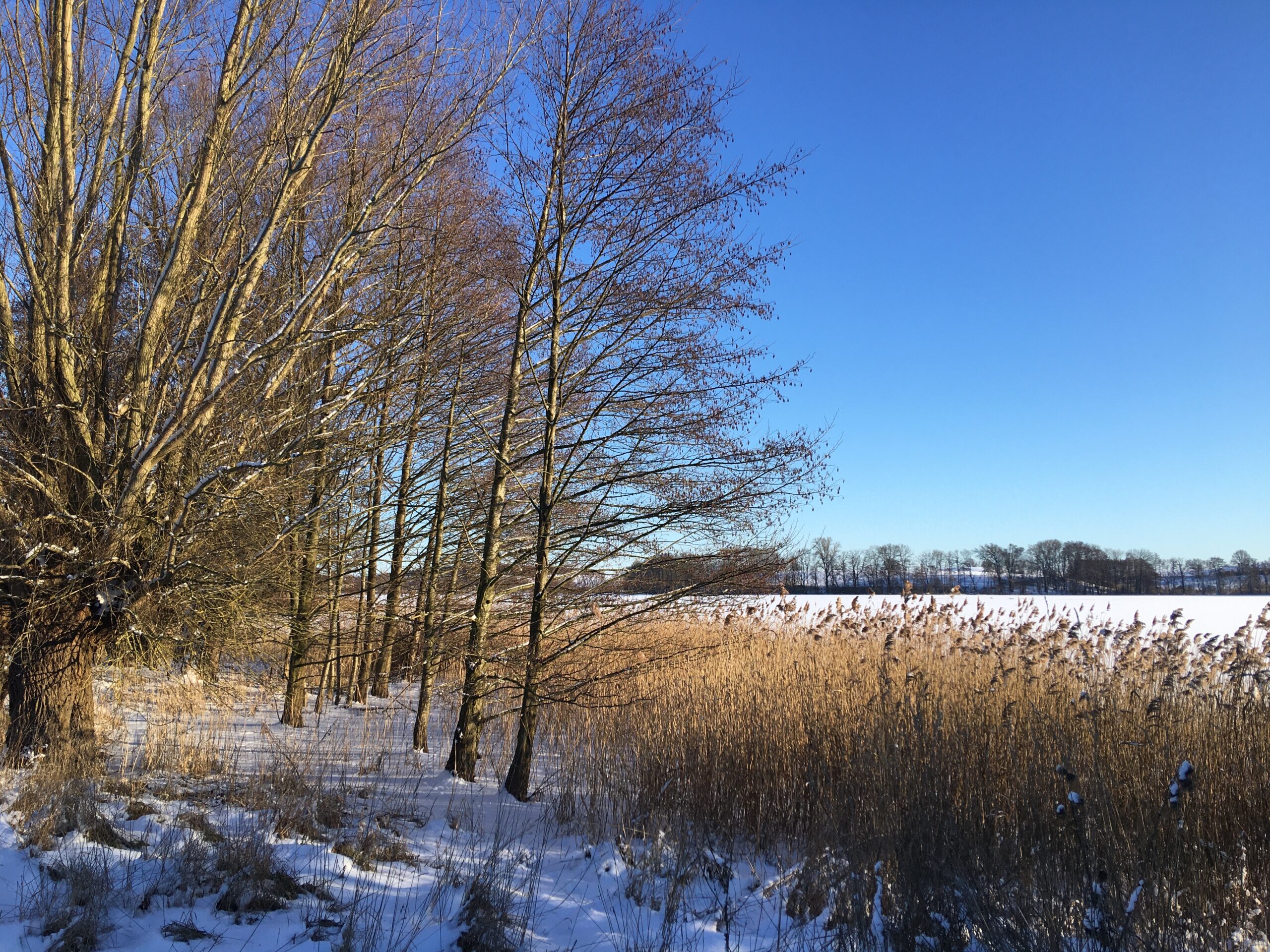 Impressionen seehaus häven 10