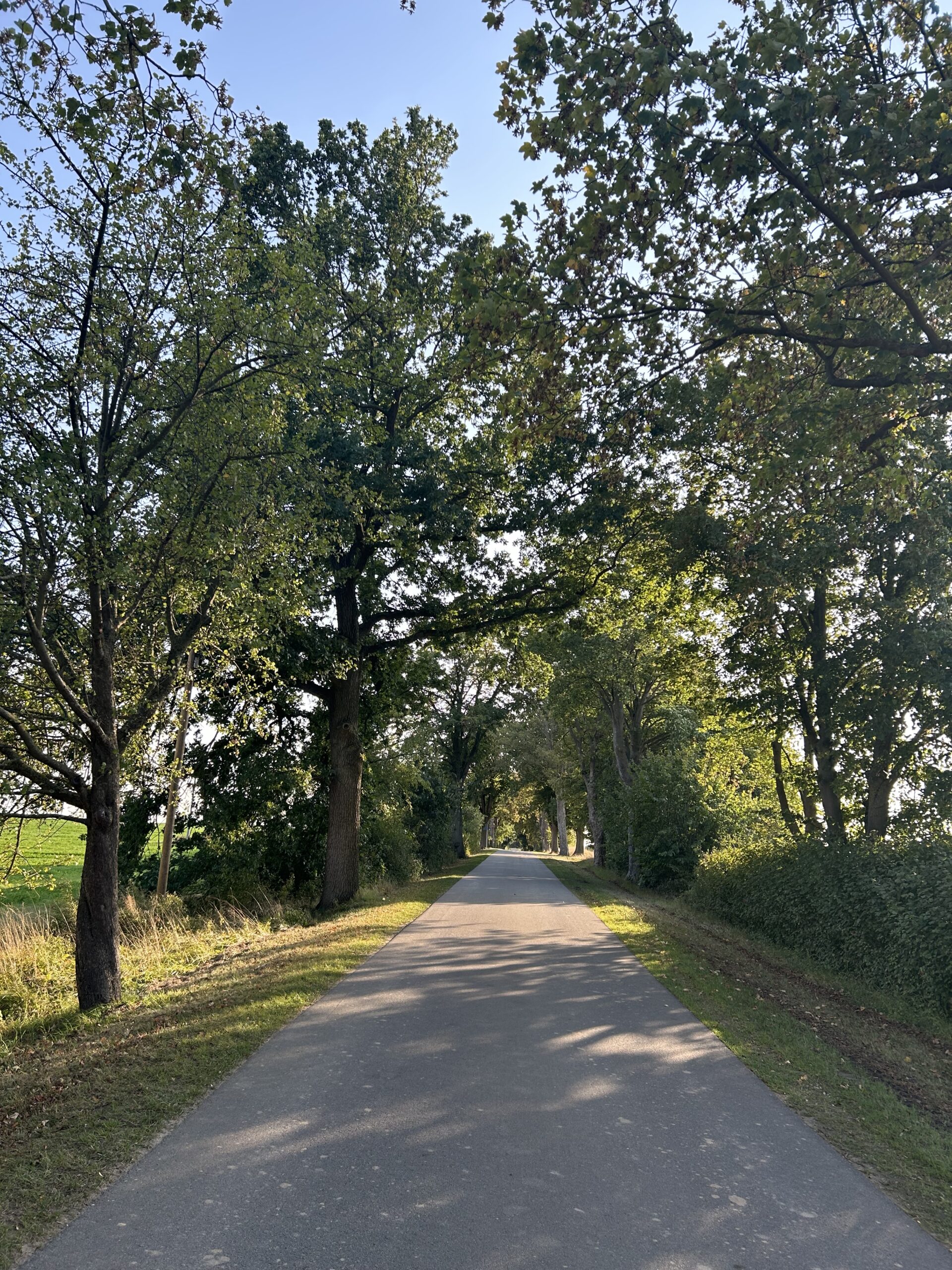 Impressionen seehaus häven 17