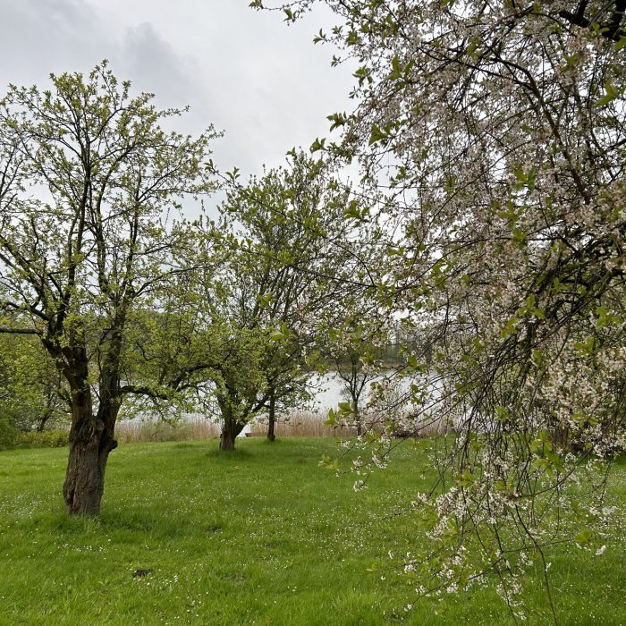 gesamtes Seehaus Haeven 15